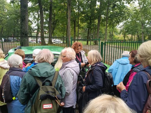 Jesienne Sprzątnie Świata