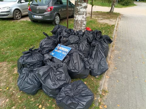 Jesienne Sprzątnie Świata